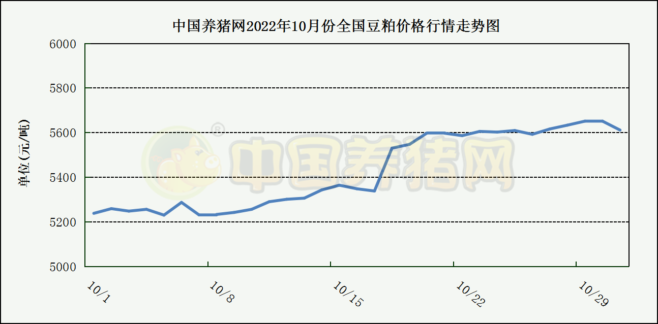 中国电子游艺网站下载安装

