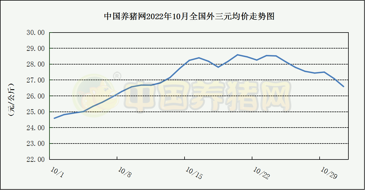 中国电子游艺网站下载安装
