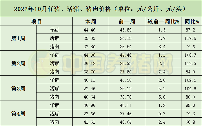 中国电子游艺网站下载安装
