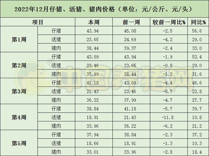 中国电子游艺网站下载安装
