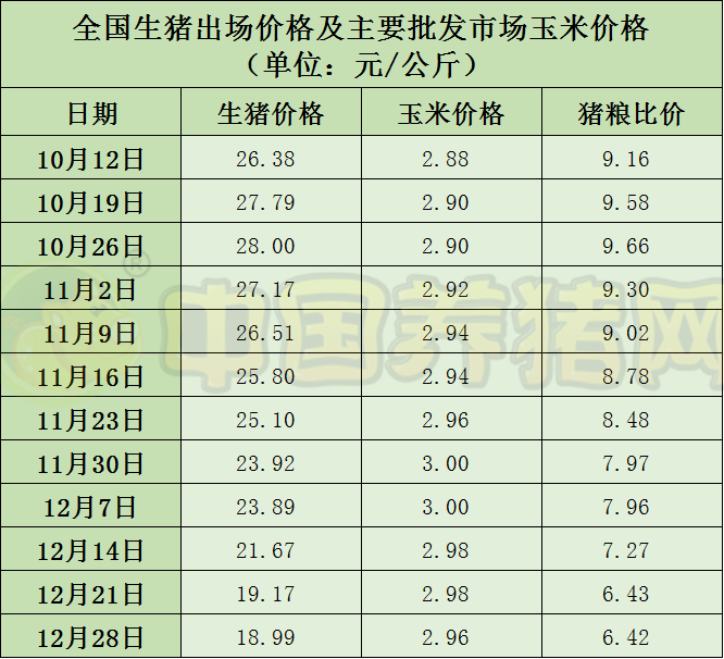 中国电子游艺网站下载安装

