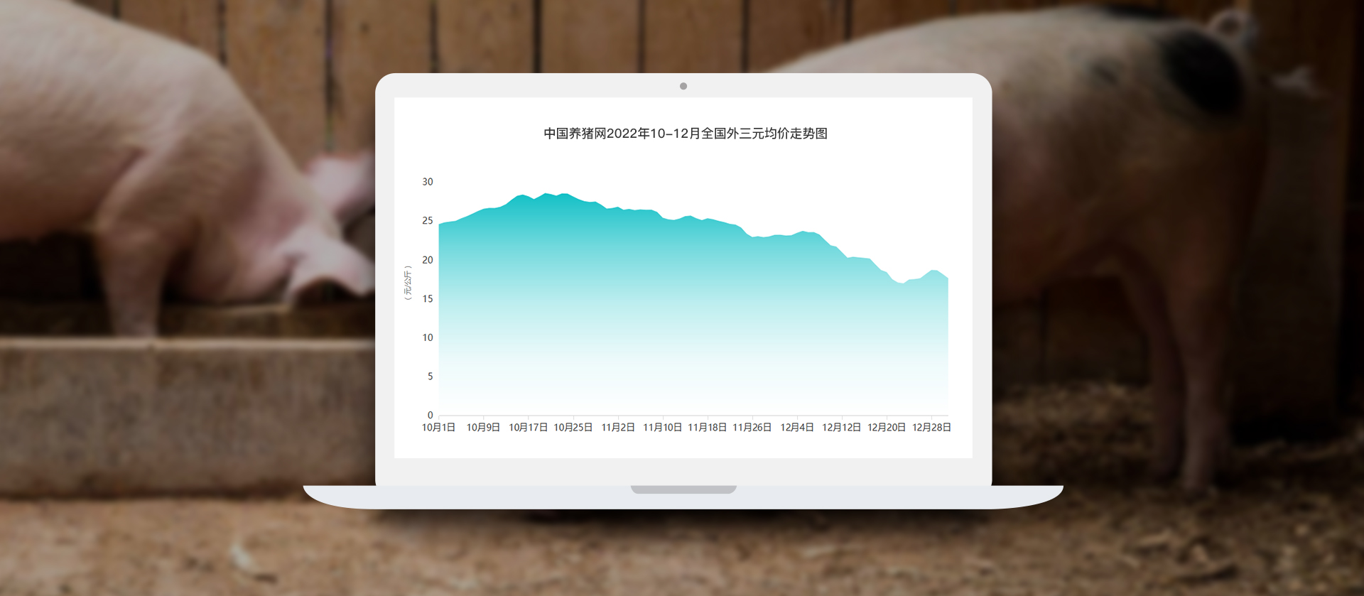 中国电子游艺网站下载安装
