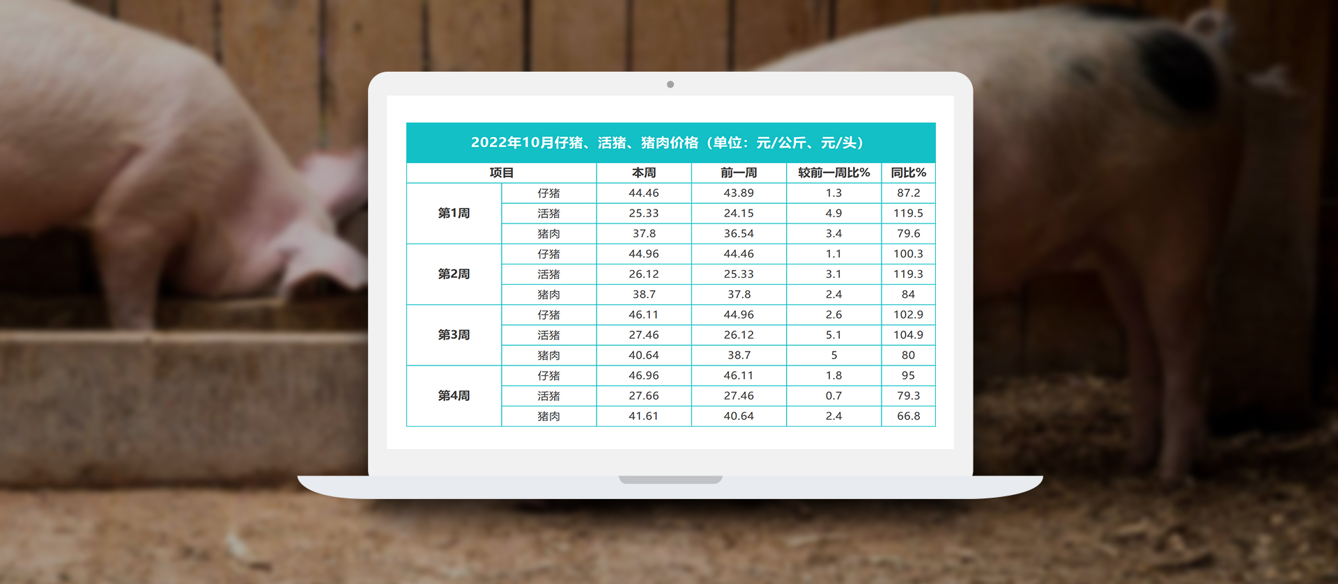 中国电子游艺网站下载安装
