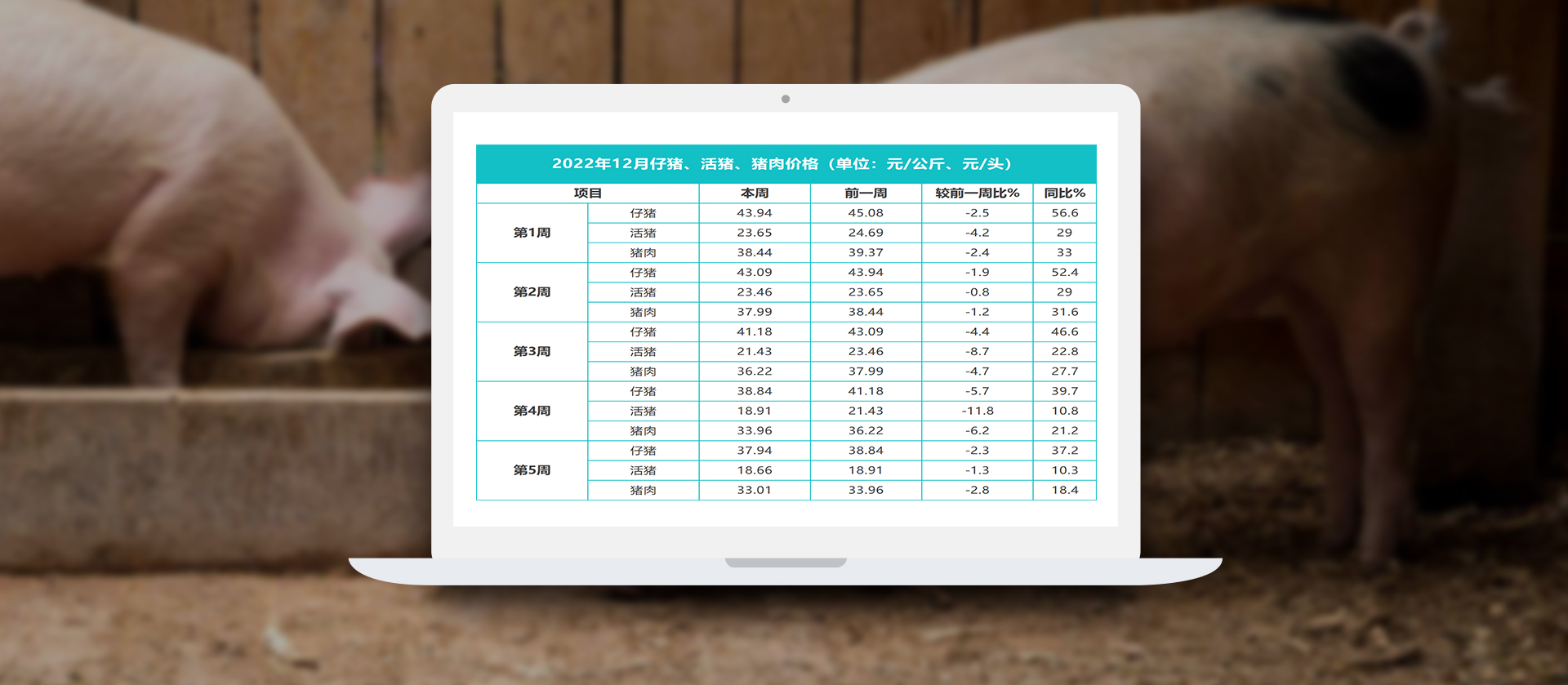 中国电子游艺网站下载安装
