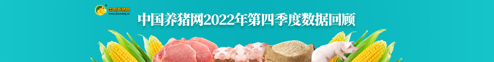 中国电子游艺网站下载安装
