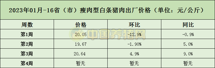 中国电子游艺网站下载安装
