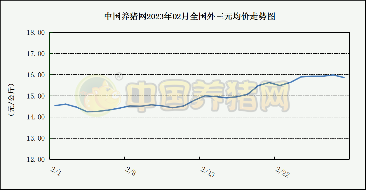 中国电子游艺网站下载安装

