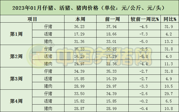 中国电子游艺网站下载安装
