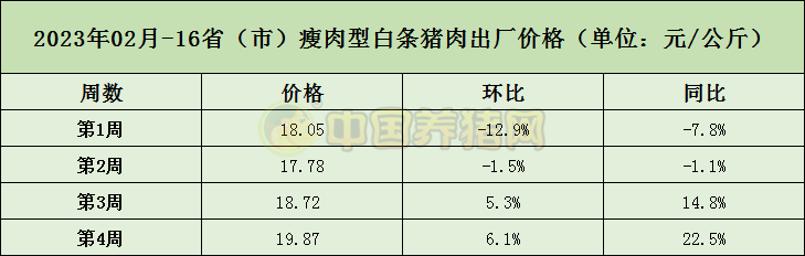 中国电子游艺网站下载安装
